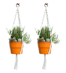 Suporte de Planta em Macrame